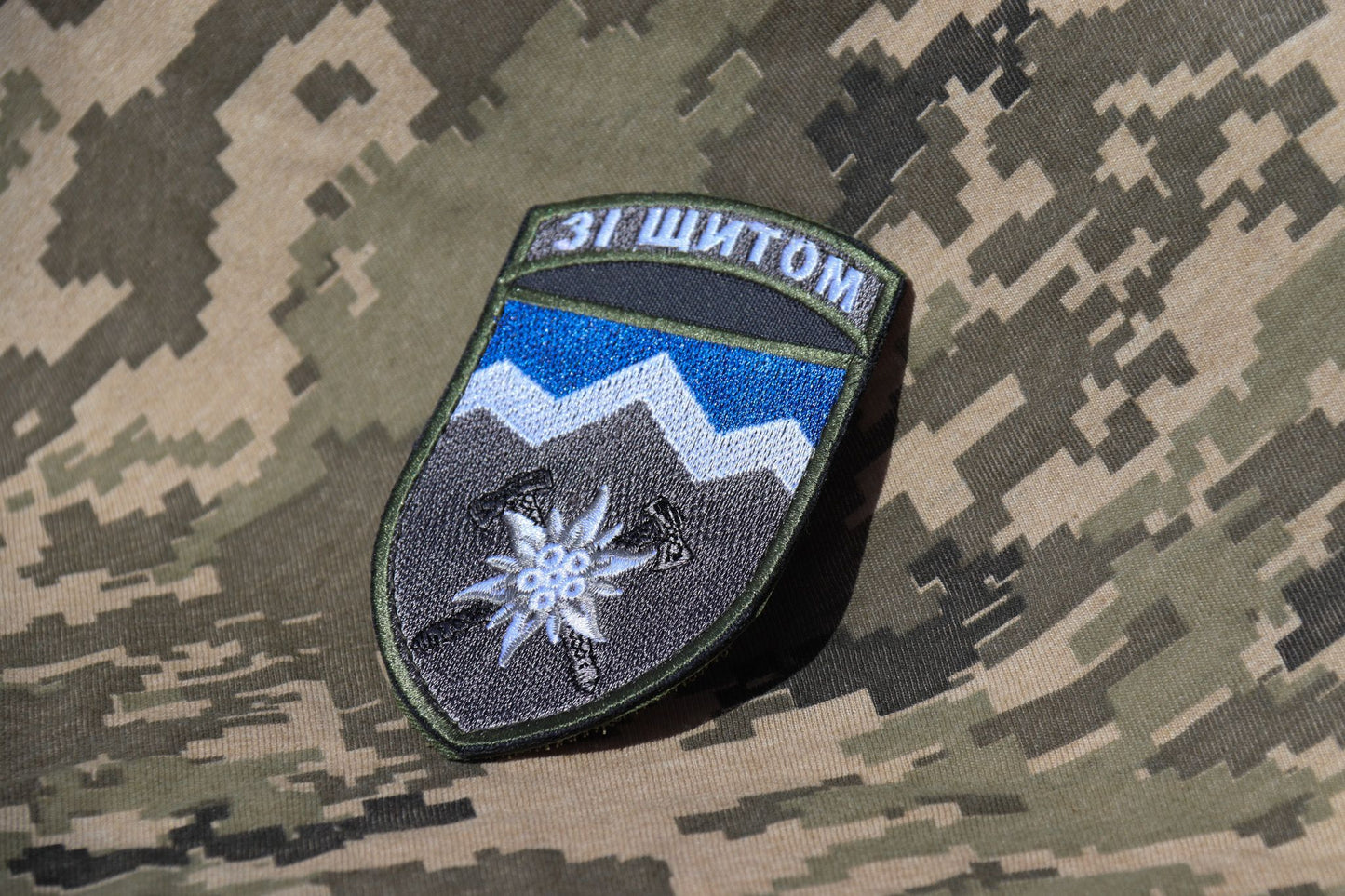 10th Mountain Assault Brigade Original Patch